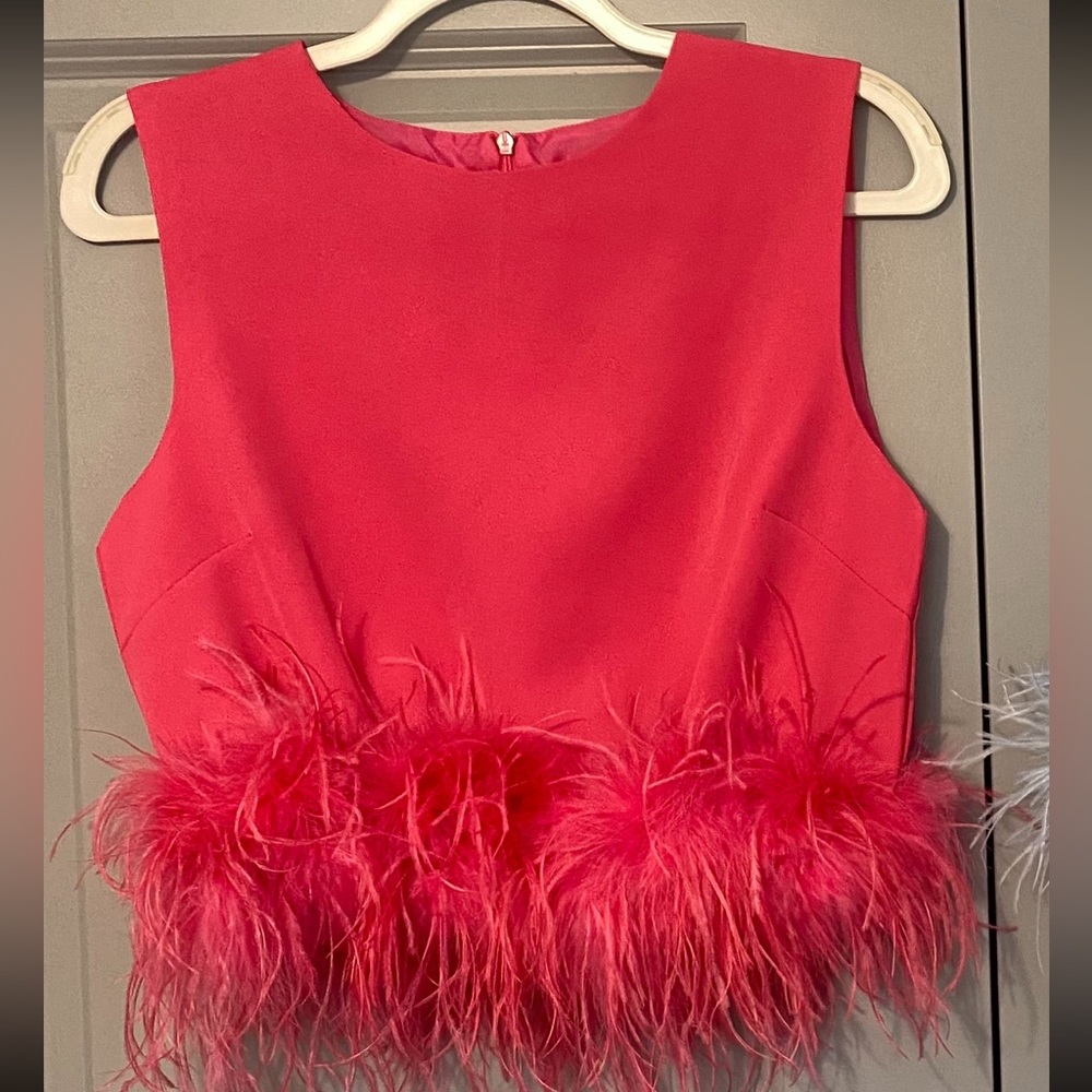 Vintage Pink Feathered Top